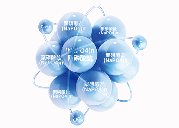 首页|尊龙集团中国官方网站